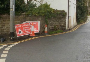 Toad crossing - photo John Grayson