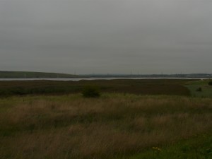 Erith Saltings