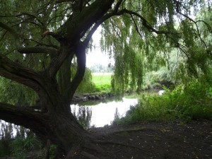 River Cray, Hall Place South