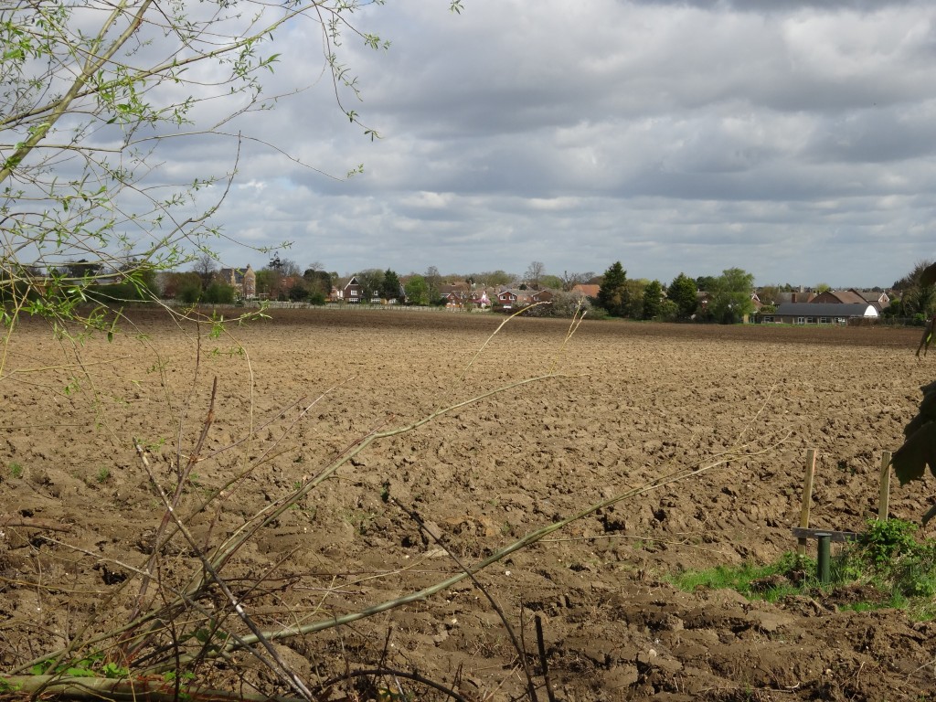 Coldblow Field, Baldwyn's Park, Bexley Village