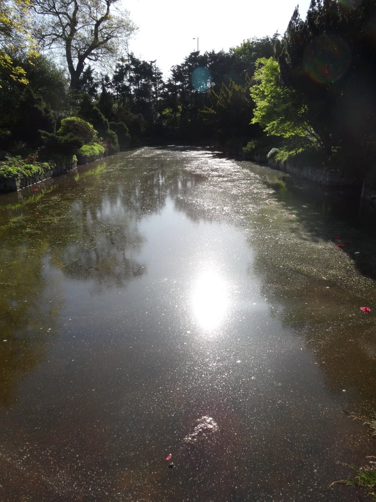 Flooded Sunken Garden Hall Place 13th April 2014