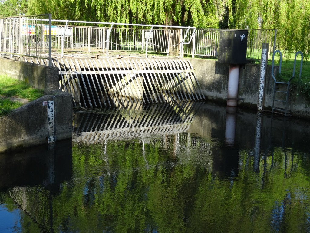 Overflow gate at Hall Place on Cray