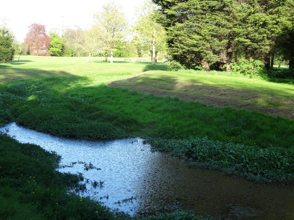 Flooded overspill ditch Hall Place, two months after the rainfall.