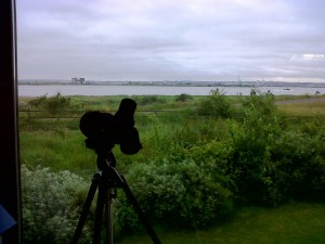 'Grey sky thinking' - this view out over the Thames sees the Darent flood defence barrier and Dartford Marshes to the left, and Crayford Marshes to the right.  The 'landscape level' approach to re-building natural capital would see these areas mirroring some of the habitat improvements and availability of Rainham to the north, whilst conserving the distinctive features of their own. After all, for your rare bird struggling to find somewhere to make a living, it's a just a short commute over the river from one site to the others ....