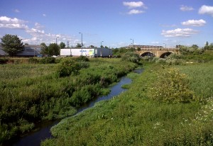 The River Wansunt crosses Thames Road Wetland on its way to Crayford Marshes