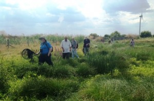 Attendees looking for bees in the West Paddock.