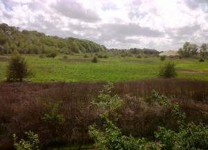 The route of the proposed Bexley by-pass, looking from the A2 towards Bexley village. Churchfield Wood, on the left,  runs up the south slope of the Cray valley.