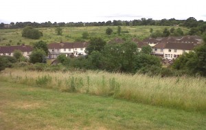 The Erith Quarry site seen from Hollyhill Open Space in June 2014. There used to be considerably more valuable scrub until former owners DHL Ltd bulldozed the site, despite it being at the highest grade of Borough level importance for wildlife. (Photo: Chris Rose).