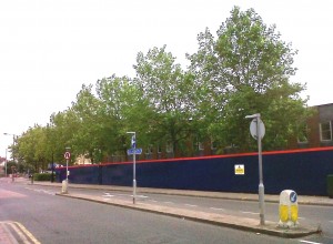 London Plane trees outside the old Council offices on the Broadway. Thanks to Tesco (and Bexley's apparent capitulation) these will go ..... Every little bit less greenery doesn't hep. 