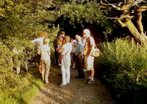 BNEF members come out of the maturing  woodland planted by Norman Pearson on a field nearly 30 years ago. 