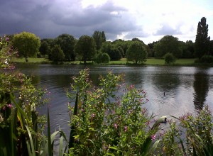Danson Park lake, with dark clouds brewing on the horizon, is a magnet for wildlife at all times of year. 
