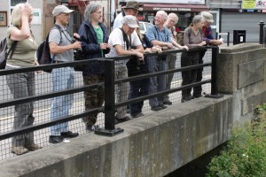 Attendees ready for the off at Waterside Gardens, Crayford. (Photo: Martin Petchey).