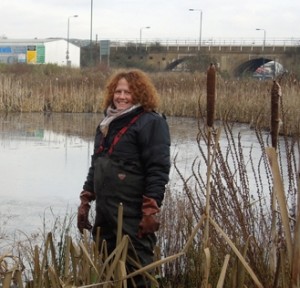 Jane Stout, elected as Chair of FotS, is pictured helping out at Thames Road Wetland