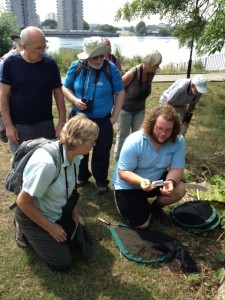 Richard Compton from the Bumblebee Conservation Trust led the event, which started by Southmere Lake.