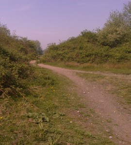 Early work at Braeburn Park will involve improving pathways, some of which are now overgrown and badly rutted as a result of illegal motorbike use on the site. This picture was taken in April 2011. (Photo: Chris Rose)