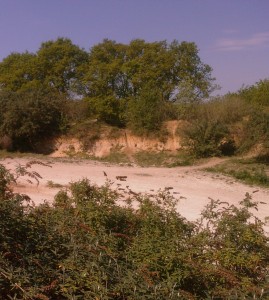 The sand pit at Braeburn Park in April 2011 (Photo: Chris Rose)