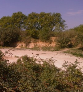 The sand pit at Braeburn Park in April 2011 (Photo: Chris Rose)