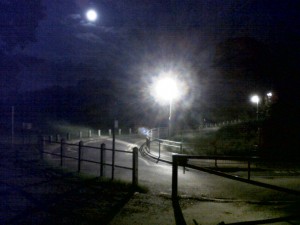 Lights blazing at half past ten at night on a school access road next to a known Bat site. Turning lights off, down and minijmisinhg the amount of blue liht emitted can have big environmental as well as cost-saving benefits, says Bexley Natural Environment Forum. (Photo: Chris Rose)