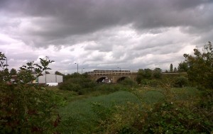 The Slade Green to Dartford railway embankment and bridge over Thames Road, adjacent to Thames Road Wetland, provides a potential habitat corridor out to the marshes, and into Kent. (Photo: Chris Rose).