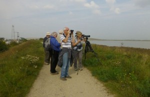 Walk attendees look out across the Thames toward Rainham marshes