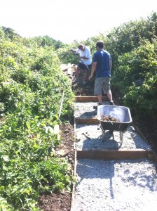 Volunteers making steps on a steep section of pathway.