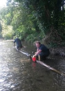 Thames21 volunteer and Shuttle Riverkeeper Duncan Devine fixes logs on the riverbed at Footscray Meadows to help vary flow rates, trap silt and allow marginal plants to establish along an otherwise shaded and eroded bank, in order to benefit wildlife.    