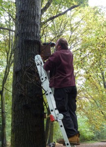 Duncan Devine opens the first nest box to be checked.