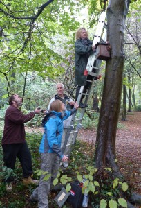 Duncan, Joanne Bradley, Robert Bradnam and Jane Stout worked to clean out and reposition nest boxes as necessary.