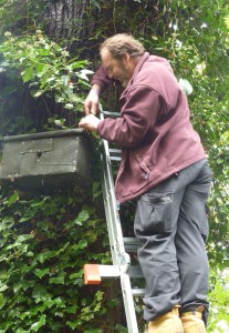 Duncan with a triple nest-box.