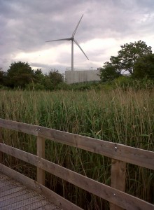 Crossness sewage works turbine seen across  reedbed from the Protected Area boardwalk (Photo: Chris Rose) 