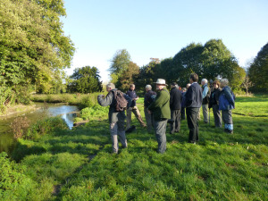 Walk attendees enjoy the autumn sun. 