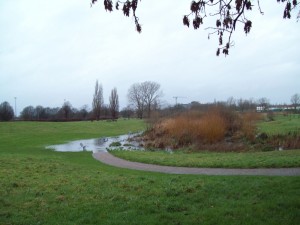 Sutcliffe Park doing its job holding back and absorbing flood overflow water in January 2014. (Photo: Pamela Zollicoffer)