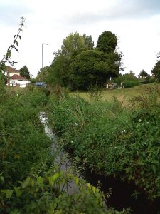 The River Shuttle above Penhill Road on a gloomy 15th September 2011. (Photo: Chris Rose)