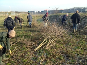 Getting stuck into chopping up the cut Willow (Photo: Karen Sutton) 