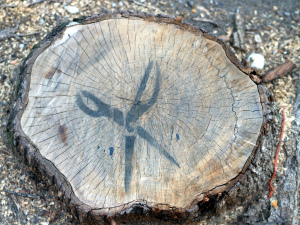 Scissors-Stenciled Stump (Baltimore, MD)