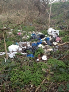 Crossness footpath litter before clearance. (Photo: Karen Sutton)