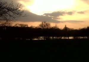 Danson lake at dusk (Photo: Chris Rose)