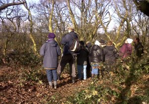 Participants watching a party of Long-tailed tits in the mature woodland at Braeburn Park (Photo: Chris Rose)