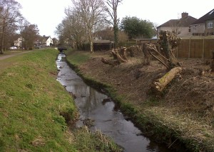 The Council's recent vegetation 'management' along the Shuttle at Hollyoak Wood Park, part of a SINC, has left little cover for animals, despite the possibility that Water Voles - a protected species -  might now have got this far up the river. (Photo: Chris Rose)