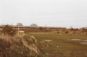 The east end of what was to become Thames Road Wetland some 23 years later. Note lack of trees on Sewer Pipe Embankment to the right of the car, and on the railway embankment. The site looks to be suffering from over-grazingby horses. It is presyujme dthat a reduction in grazing by these animals, and perhaps Rabbits, couple with colonisation by the railway embankment by Elder and Buddleia, which Rabbits leave alone, took place at some later date. Note the good old BR blue and grey slam-door EPBs hurrying to and from Dartford. Those were the days ... (Photo: Ray Gray. Kindly scanned by Michael Heath).  