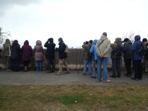 Attendees line the river wall to watch ducks and waders. (Photo: Karen Sutton)