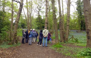 Bexley RSPB and Lesnes Abbey Conservation Volunteers members on the bird walk in the woods (Photo: Brenda Todd)