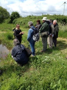 LWT's Tony Wileman talking about some of the plants around the Protected Area pond. (Photo Karen Sutton). 