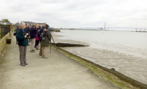 With the QE2 bridge in the background, Swanscombe marshes are close to Bexley. (Photo: Brenda Todd)