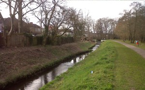 There was an outcry earlier in the year about 'over-zealous' vegetation management along the Wyncham stream, and here on the Shuttle at Hollyoak Wood Park. How many sites have up to date management plans that ensure biodiversity is taken fully and strategically into account before the chainsaws and strimmers are wielded? (Photo: Chris Rose)   