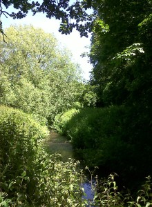 A bucolic scene from way out in the countryside somewhere? No - it's the Shuttle downstream of BETHS footbridge, just yards from the A2 road. (Photo: Chris Rose)