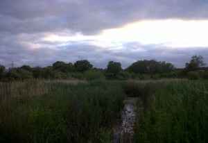 A brooding sky over Thames Road Wetland as darkness approaches. (Photo: Chris Rose)