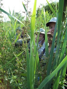 QWAG members enjoy the 'ack to nature' experience in tall vegetation at the west end of the site. (Photo: Pamela Zollicoffer)