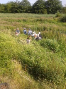 Discussing vegetational succession and Sustainable Urban Drainage (Photo: Paul de Zylva)