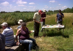 Lunchbreak. Rodney Burton (red cap, centre), the compiler of the 1993 Flora of the London area, took advantage of the meeting to gather plant records for an updated botanical atlas of the capital.